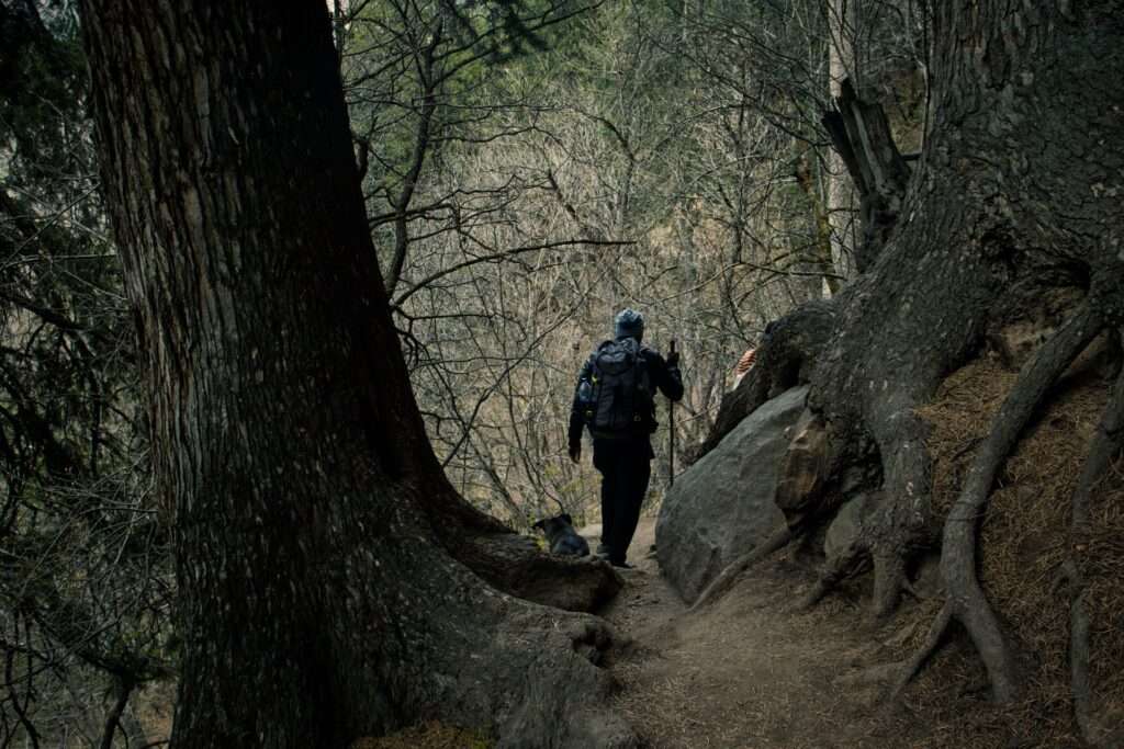 Kheerganga Trek