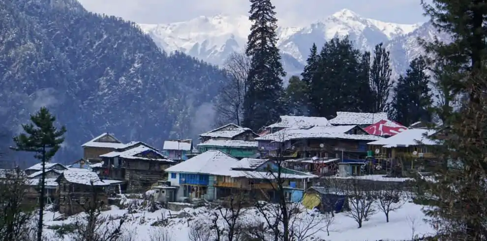 Kasol Tosh Grahan Best Price @ 3499 WDRLUST 2024