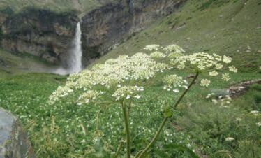 Sissu Waterfall