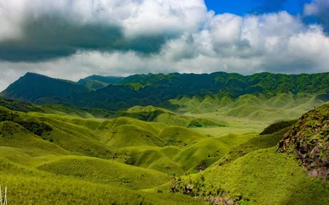Dzukou Valley Trek