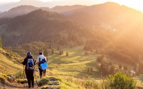 Ziro Valley Trek