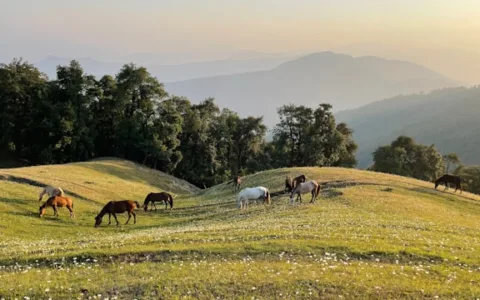 Nag Tibba Trek