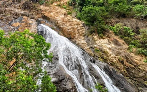 Dudhsagar Trek